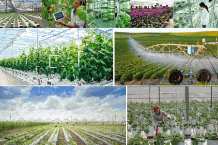 Biện pháp giảm nhẹ phát thải khí nhà kính trong lĩnh vực nông nghiệp