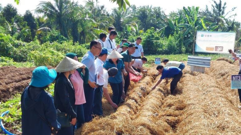 Giảm phát thải khí mê-tan trong trồng trọt: Giải pháp trọng tâm cho nông nghiệp xanh