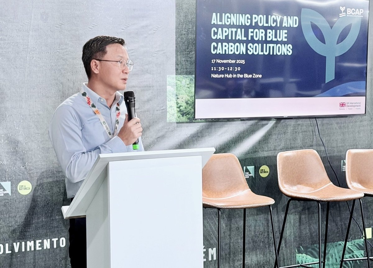 Việt Nam sẽ giảm khoảng 3 triệu tấn CO2 nhờ carbon xanh