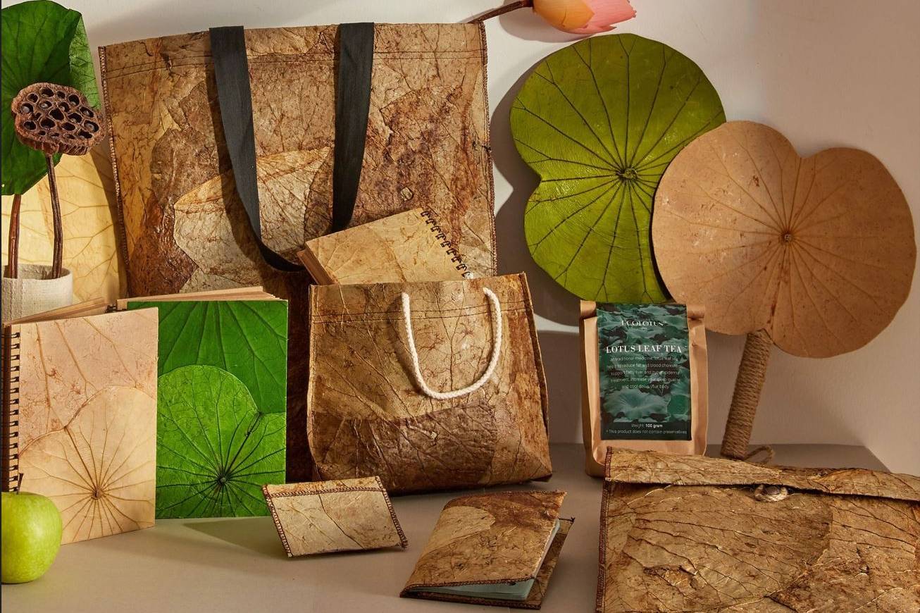 Hướng đi mới cho bao bì xanh trong phát triển kinh tế tuần hoàn