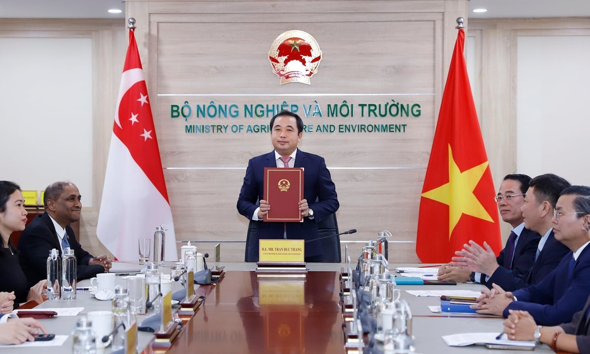 Việt Nam - Singapore ký thỏa thuận hợp tác các-bon theo Điều 6 Thỏa thuận Paris