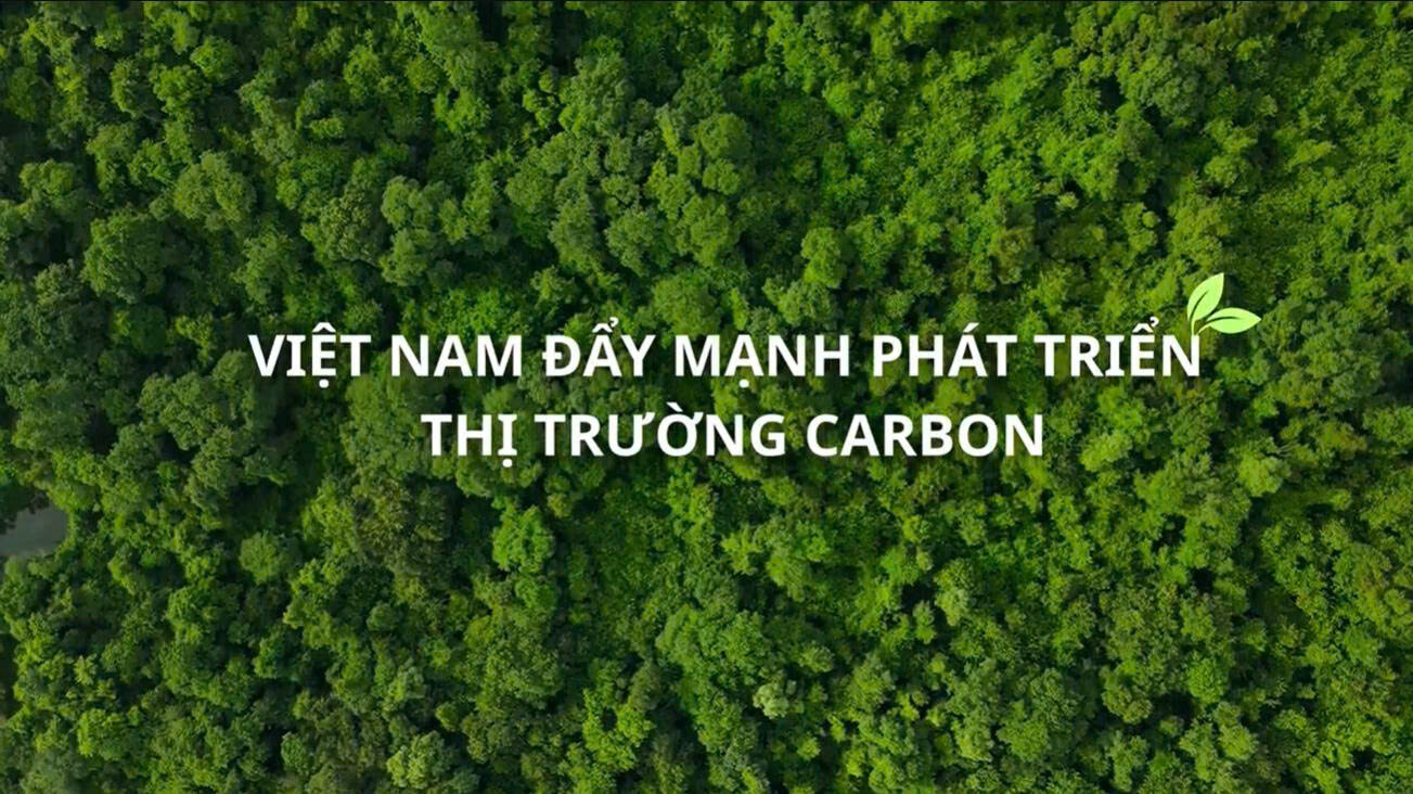 Việt Nam đẩy mạnh phát triển thị trường các-bon